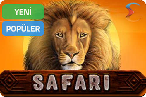 safari
